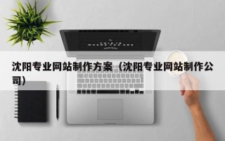 寿光沈阳专业网站制作方案（沈阳专业网站制作公司）